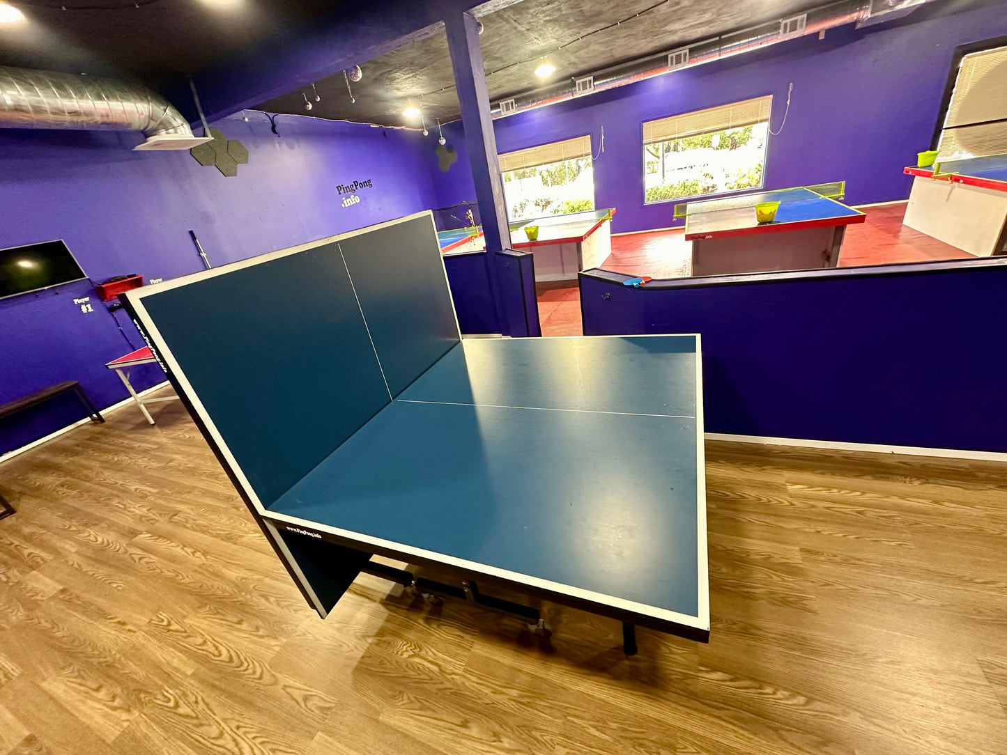 Table Tennis Tables