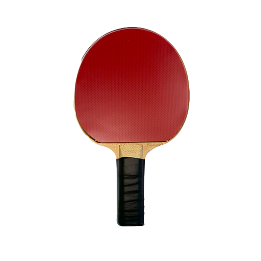 🏓 Basic Ping Pong Paddle