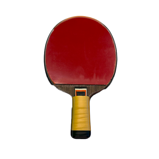 🏓 Challenger Ping Pong Paddle